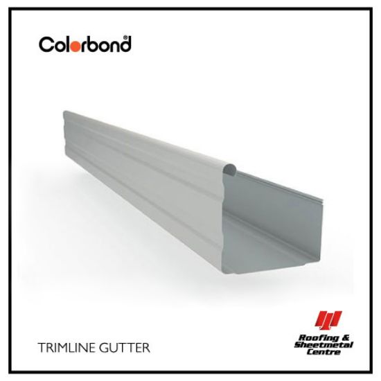 Trimline gutter